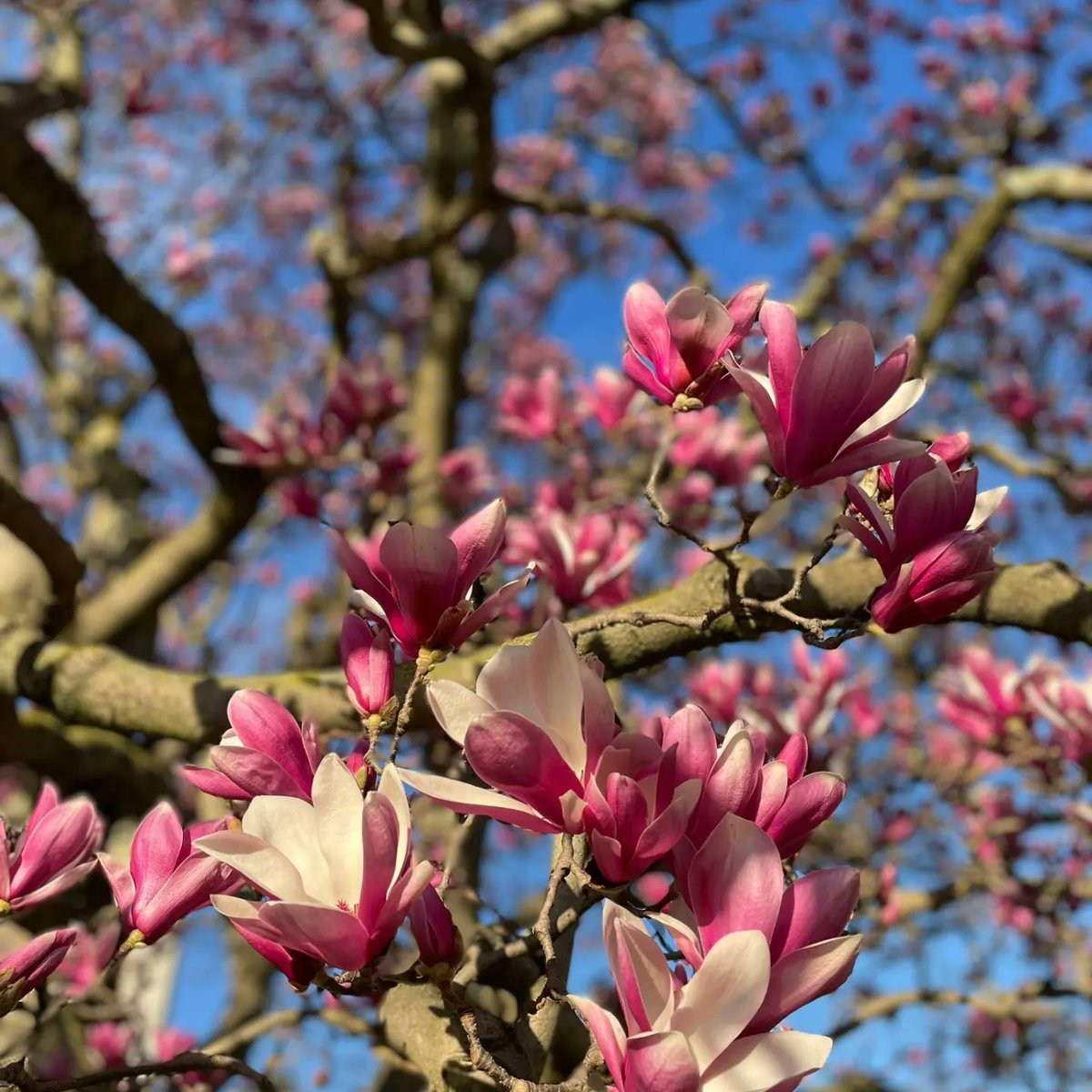 Universidad Deusto - Deustuko Unibertsitatea tweet media