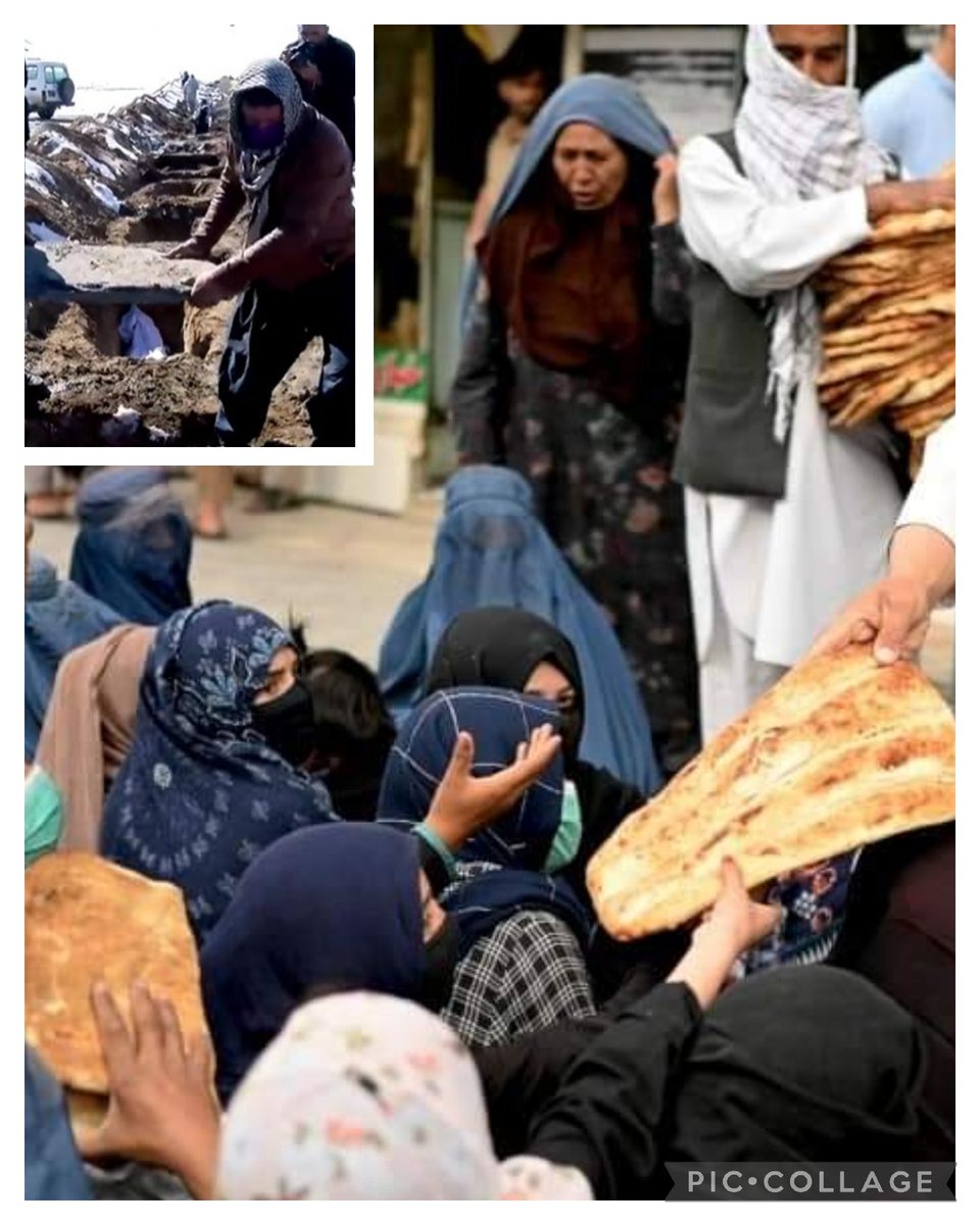 ضعیت افغانستان!
 شهرداری:در سه ماه ۱۴۴ جسد بدون شناس در کابل دفن شده.یونیسف:در ماه جنوری بیش از یکصد کودک از گرسنگی و سرما جانداده اند.اطاق تجارت :در یک ماه سیزده تاجراختطاف شده.سازمان جهانی صحت ۲۸ میلیون گرسنه اند.هفته وار چهل تا هشتاد میلیون دالرکجا میشود؟
#StopHazaraGenocide