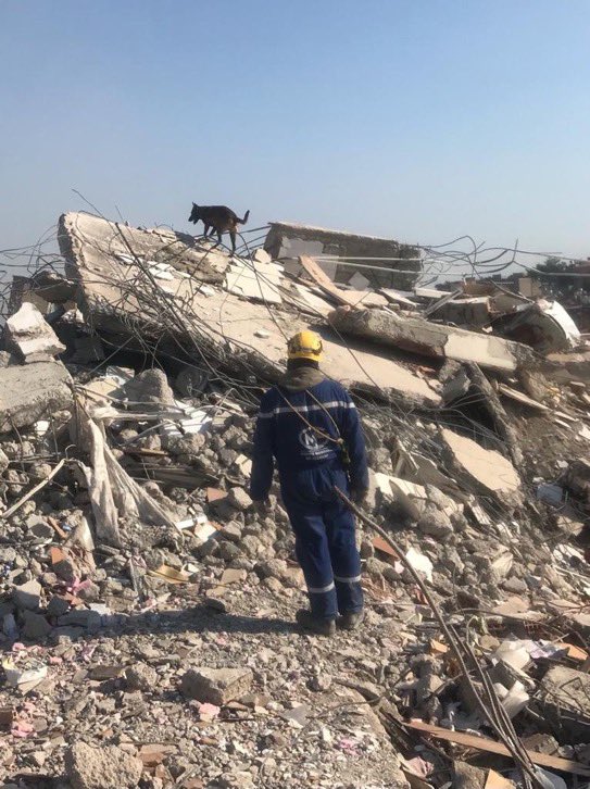 🇫🇷❤️‍🩹🇹🇷 <a href="/TULIPE_Asso/">TULIPE</a> Derneği, Pazar günü <a href="/cdcmae/">Centre de Crise et de Soutien</a> aracılığıyla deprem bölgesine gönderdiği 50.000 adet difteri ve tetanoz aşısına ek olarak dün ve bugün de bölgede faaliyetlerini sürdüren <a href="/2aip/">AAIP</a>’ye sağlık kitleri sevk etti. 
Toplam 2 ton ilaç, sağlık malzemesi ve sahra sağlık ocağı.