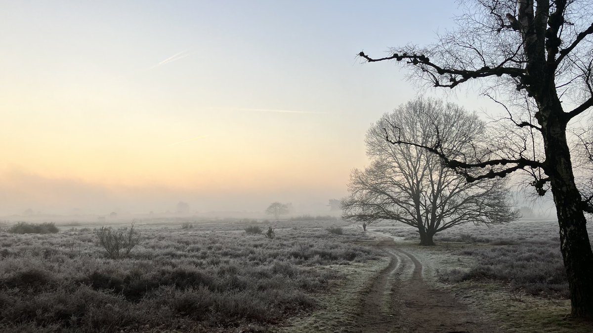 Jorrit Kelder tweet media