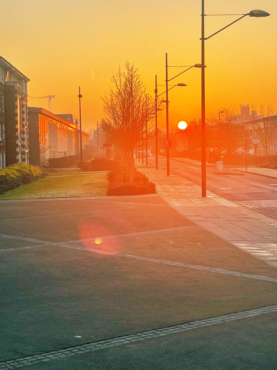 KateRodger16's tweet image. Little things - Big Impact 💛☀️🌅

Steps &amp;amp; Sunshine to start the day 😍📈