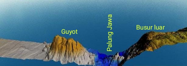 Inilah gunung bawahlaut yg ditemukan BIG <a href="/InfoGeospasial/">Badan Informasi Geospasial</a> di lepas pantai selatan Pacitan. Berlokasi di sekitar 10° 37' LS 111° 04' BT, di sisi selatan palung Jawa. Nampak ciri² guyot, sebagai gunung berapi bawah laut yg sudah mati sehingga puncaknya datar <a href="/merapi_uncover/">Merapi Uncover</a>