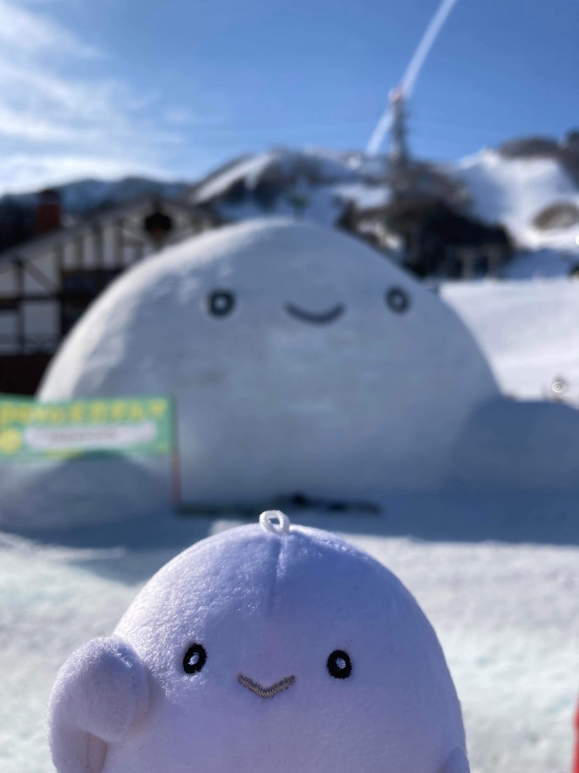 水曜どうでしょう藩士 (@doudesyou_fan) / Posts / X