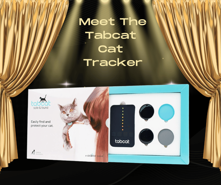 HarveyButtonNZ's tweet photo. Check out the innovative improvements to the TabCat Tracker. Check my review and video MyTabcat the small and lightweight cat locator #sponsored  #pettracker #cattracker #locator https://t.co/DBOreEGoM1 https://t.co/Cpn1gBxyjo