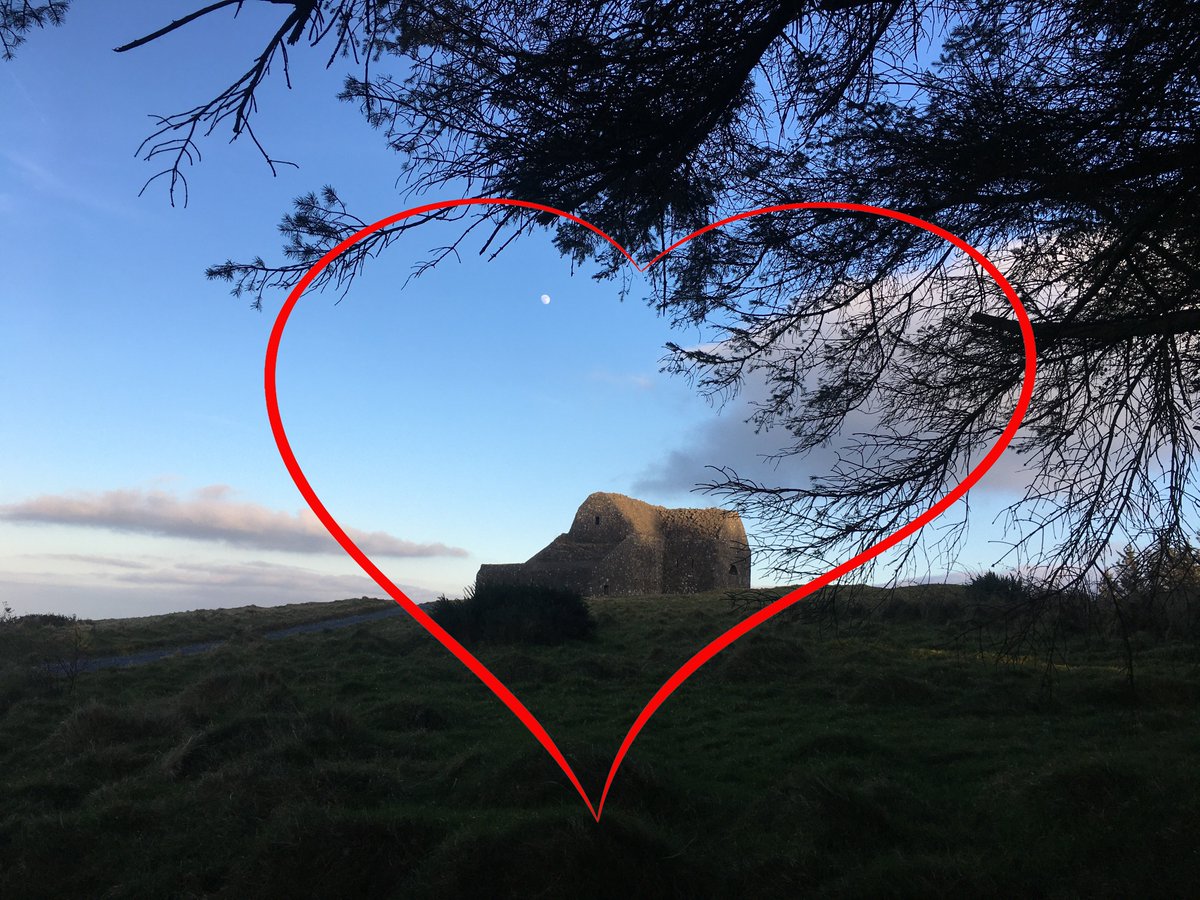 SavetheHellfire's tweet image. If you love this place then we ask @sdublincoco @coilltenews to leave no trace and listen to the over 27k that has said no to their planned €22m+ overscaled #VanityProject change.org/p/save-the-hel… 🦡🐿️🐸🦇🦌🦦❤️
#ValentinesDay #wildlife #capacity #Sustainability #traffic