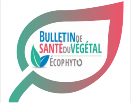 Pour vous aider à anticiper l’arrivée des bioagresseurs sur votre ferme ou votre région ow.ly/NSal50MQs6k consultez la base BSV du portail EcophytoPIC qui redirige vers tous les Bulletins de Santé du Végétal en région : elle contient plus de 150 ressources #BSV <a href="/ACTA_asso/">Acta</a>