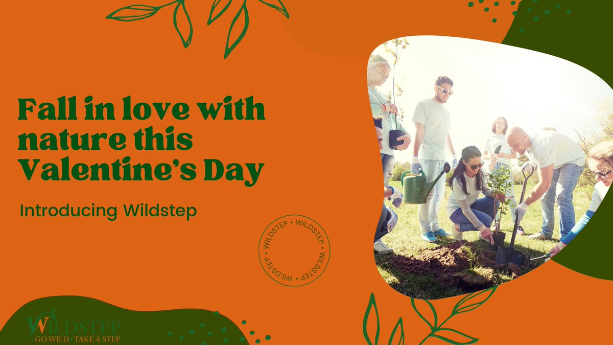 SchoolProTLC's tweet photo. Help protect the UK's natural environment with Wildstep! Our mission is to rewild and restore vital ecosystems. But we can't do it alone. By donating to Wildstep, you can make a real difference in the fight against environmental degradation. #wildstep #conservation #rewilding https://t.co/2wweMsnyxZ