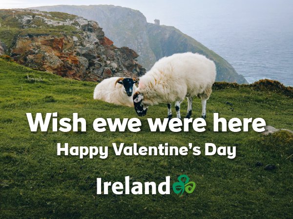 Brack Tours Ireland tweet media