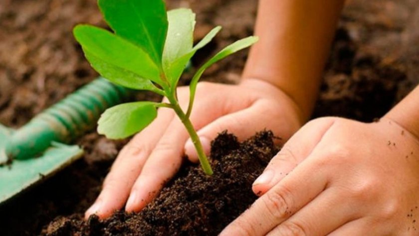 #BuenosDias🌥️❄️|| 🌱🪴Plantar un Árbol, ya sea desde la semilla o partiendo del brizal te convierte en una suerte de progenitor de la Naturaleza🧩💚

#LasSancionesSonContraElPueblo 

<a href="/NicolasMaduro/">Nicolás Maduro</a> 
<a href="/delcyrodriguezv/">Delcy Rodríguez</a> 
<a href="/MinecOficial/">MinecOficial</a> 
<a href="/JosueLorcaV/">Josué Lorca Vega</a> 
<a href="/FundambienteC/">Fundambiente Oficial</a> 
<a href="/misionarbolven/">Fundación Misión Árbol</a>