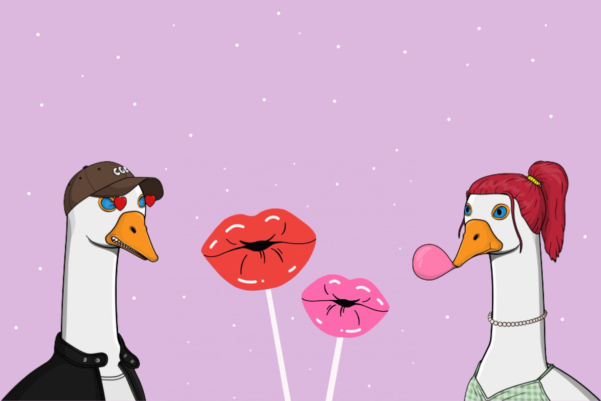 Crazy Goose Flock tweet media