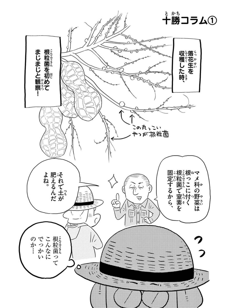 【宣伝】十勝ひとりぼっち農園12巻、十勝にも無事届きました!
今回も、失敗したり泥棒(?)したり別離(?)があったり子供達の先生になったり色々やらかしてますので是非手に取っていただければ✨
描き下ろしとか勝毎出張編もありまっせー 