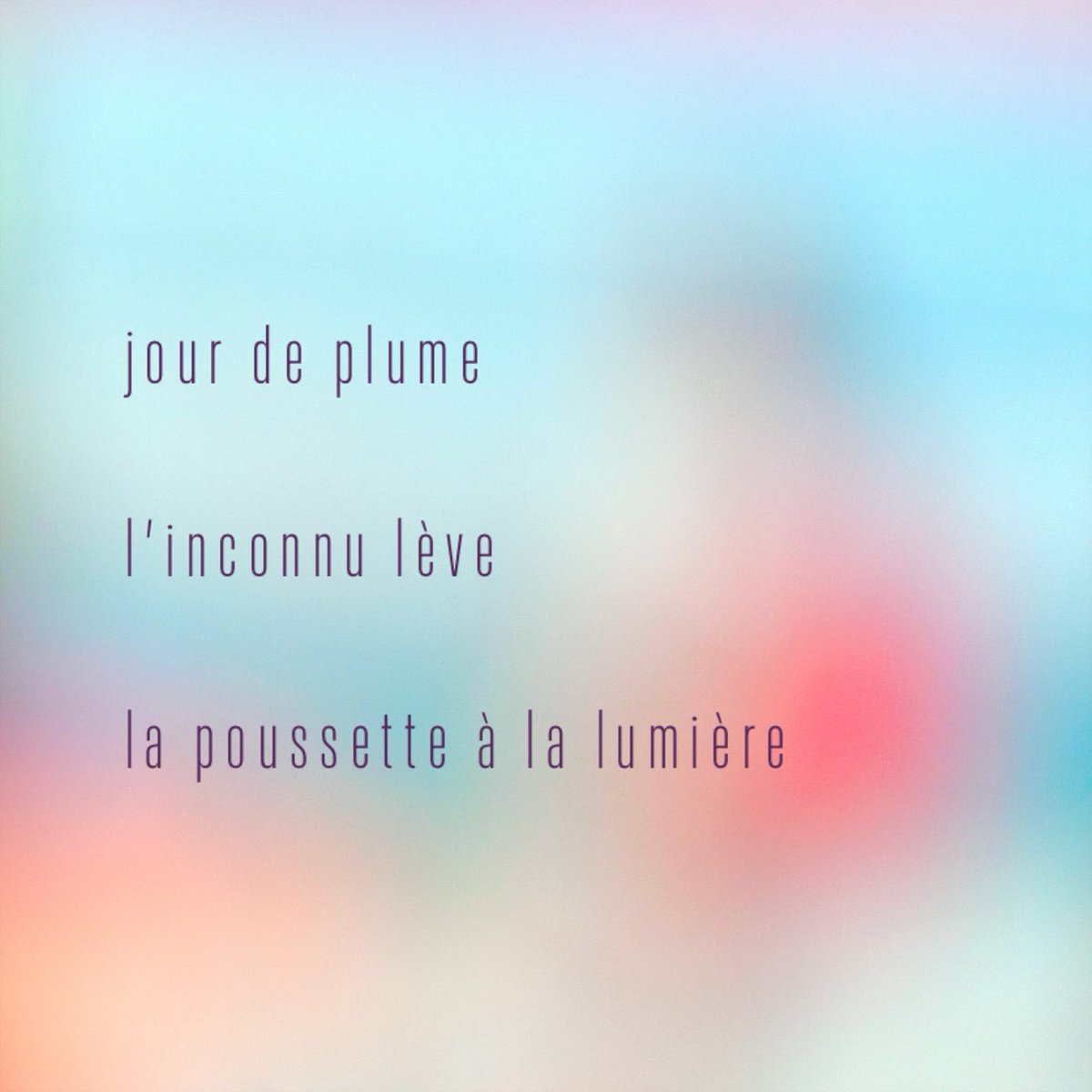 …

 jour de plume

 l’inconnu lève

 la poussette à la lumière 

…

FC