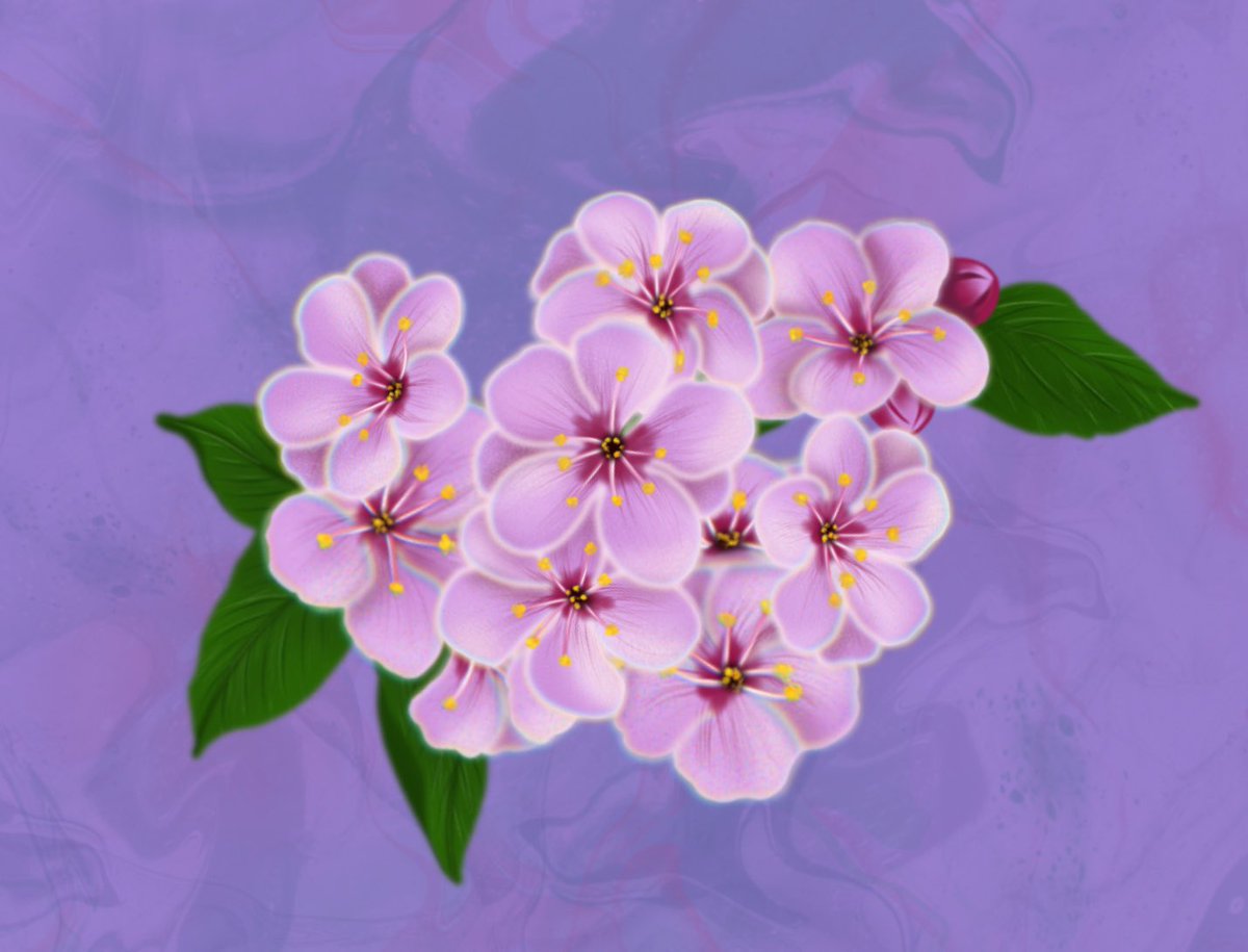 Good morning, friends! Have a good day!