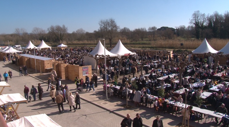 laselvatv's tweet photo. 17.000 persones a la 10a edició de Fiporc

Després de dos anys marcats per la pandèmia, #Fiporc, la fira del porc de #Riudellots de la Selva, ha tornat a celebrar-se aquest darrer cap de setmana.

LA SELVA TV: https://t.co/VkfEiQDqr4

YOUTUBE: https://t.co/GxZSC7TYhs https://t.co/Q44CWkrrLm