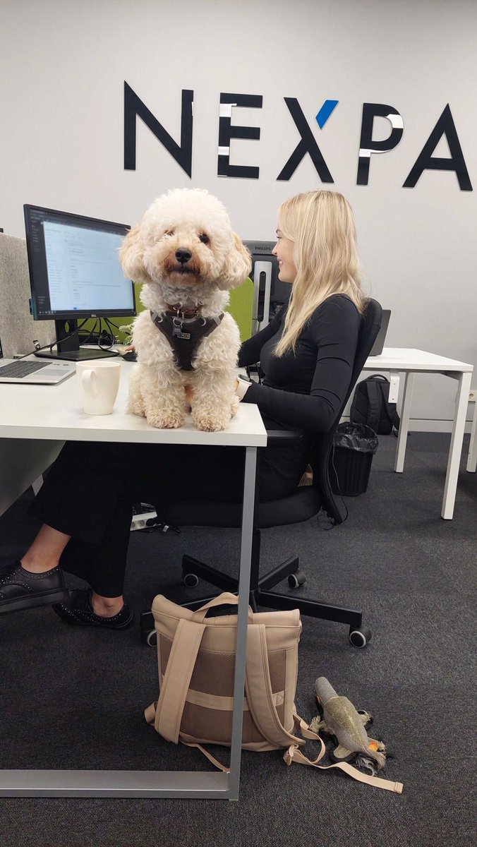 Nexpay_'s tweet photo. Who says fintech can't be fun? πΆπΌ Here at Nexpay, we know that our furry friends can help create a more positive and productive work environment!
(1/3)
#Nexpay #NexpayTeam #fintech #officepuppies #workingwithdogs https://t.co/uUAWLD02VG