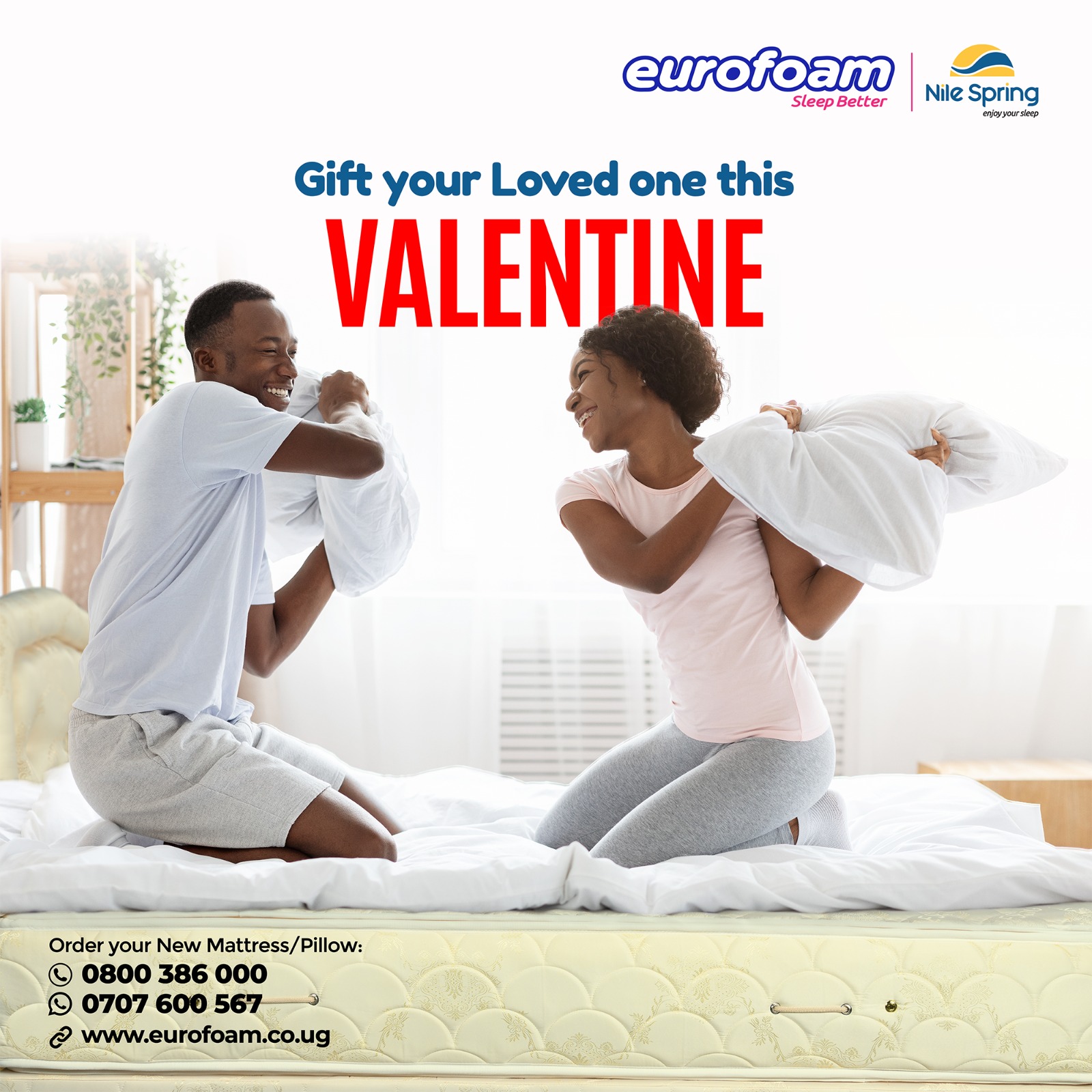 Eurofoam 2024 mattress prices