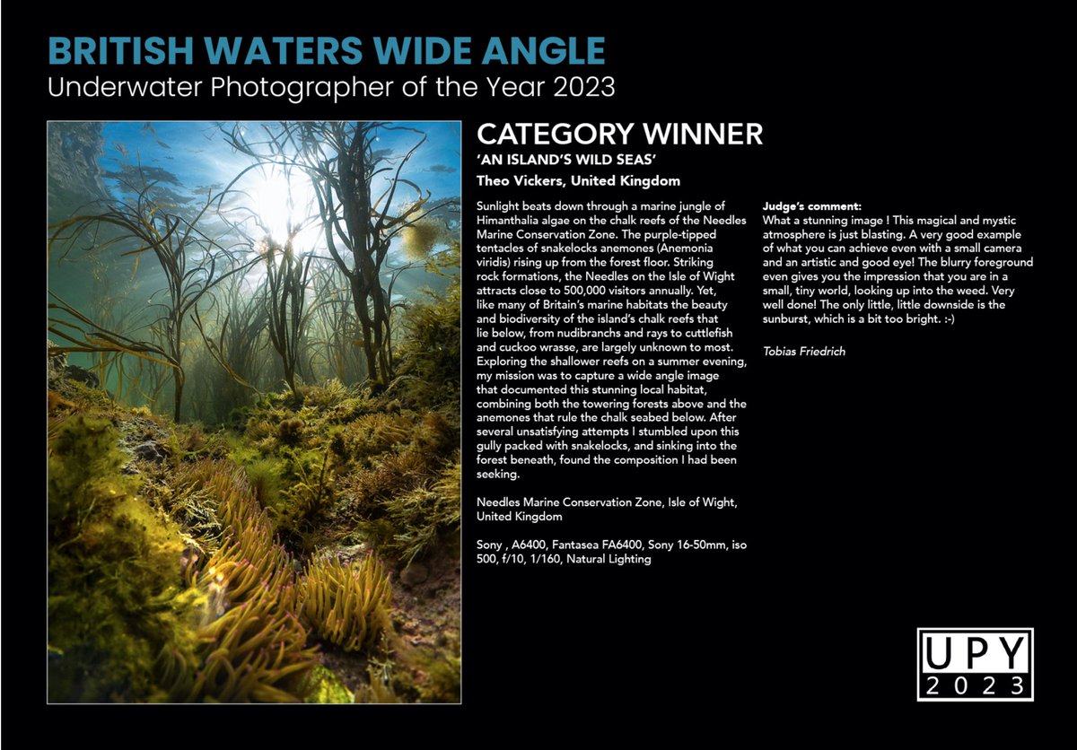 Amazing news! My image of the chalk reefs of the #IsleofWight has won the British Waters Wide Angle and Most Promising British Underwater Photographer awards in Underwater Photographer of the Year 2023! #marinebiology #underwaterphotography