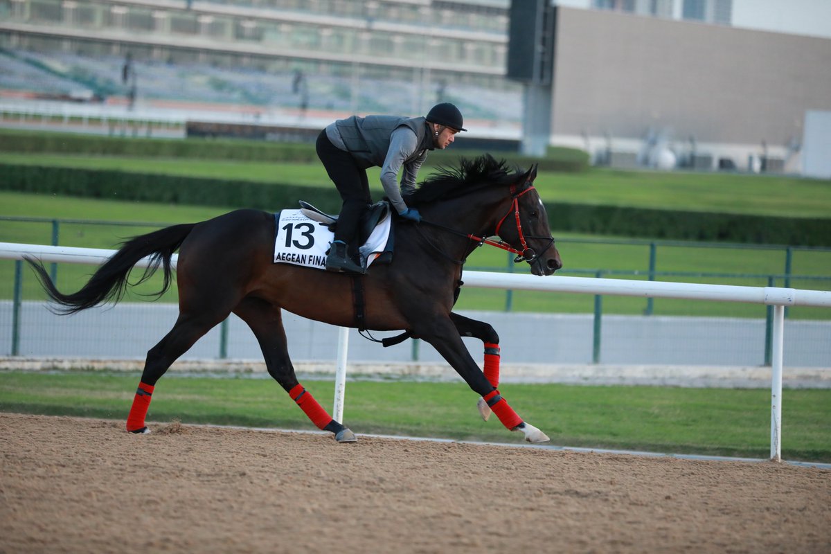 Can AEGEAN FINALE, second last time, go one better at #DWCcarnival this week?

Onur Ozelcanat's 🇹🇷 colt lines up in the Lord Glitters Handicap, over 1600m on turf.

Fields 👇

emiratesracing.com/node/5?id=3229…