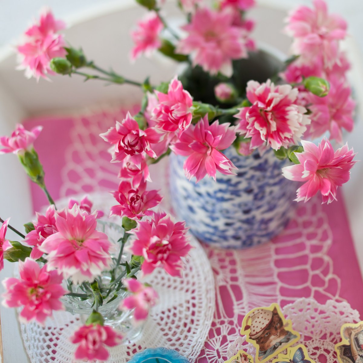 Happy #ValentinesDay! Let's celebrate love ❤️ Brighten up someone's day with fresh flowers and show your love and appreciation.

📷 Specialty Alstroemeria Fashionista® Pink - Standard Gerbera Keystone - Diantus Sparkz® Star Cherry Tessino

#hilverdaflorist #flowers #love #bouquet