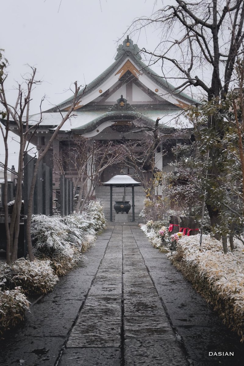 dasianjp's tweet photo. Algunas fotos de la nevada del día 10 en Tokio.
#dasian #japon #streetphotography https://t.co/ra8p3ED3Y5