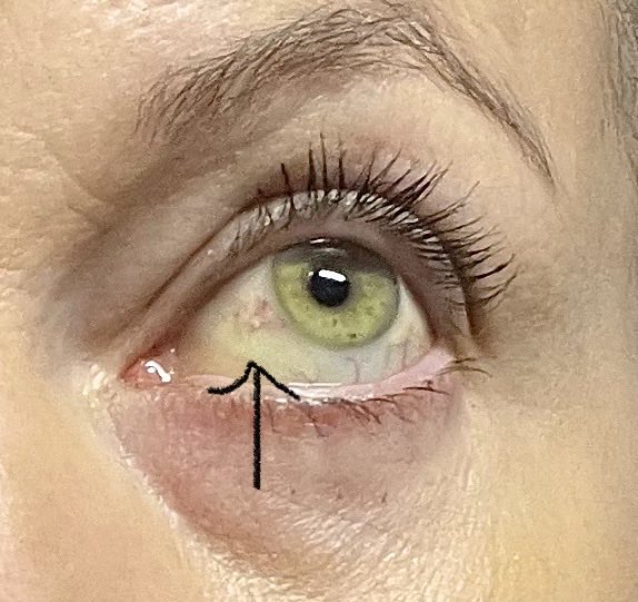 Jane Fallon tweet media