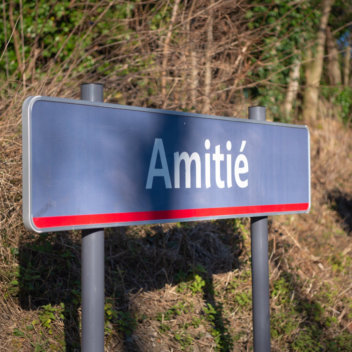 STIBMIVB's tweet photo. Message pour celles et ceux qui sont célibataires et qui doivent subir cette journée: pas de soucis, il vous reste l' https://t.co/kb2QhbJQ2T
