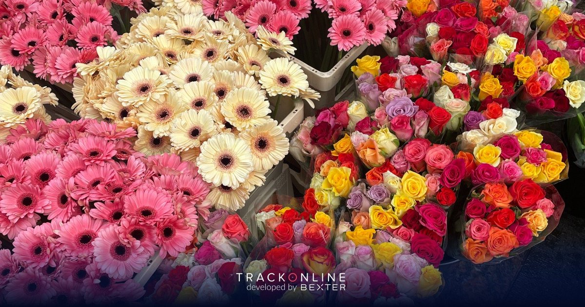 TrackOnline_'s tweet image. TrackOnline wishes all its customers good luck with the Valentine's Day rush! 💕

Spend the Valentine's Day without shortages next year?

🌐 trackonline.com/industry/flori…

#TrackOnline #Valentine