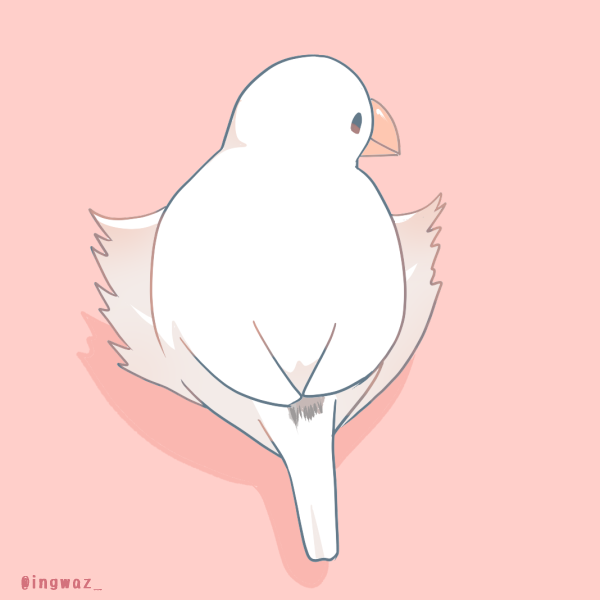 えんがわ。#Buncho #文鳥 