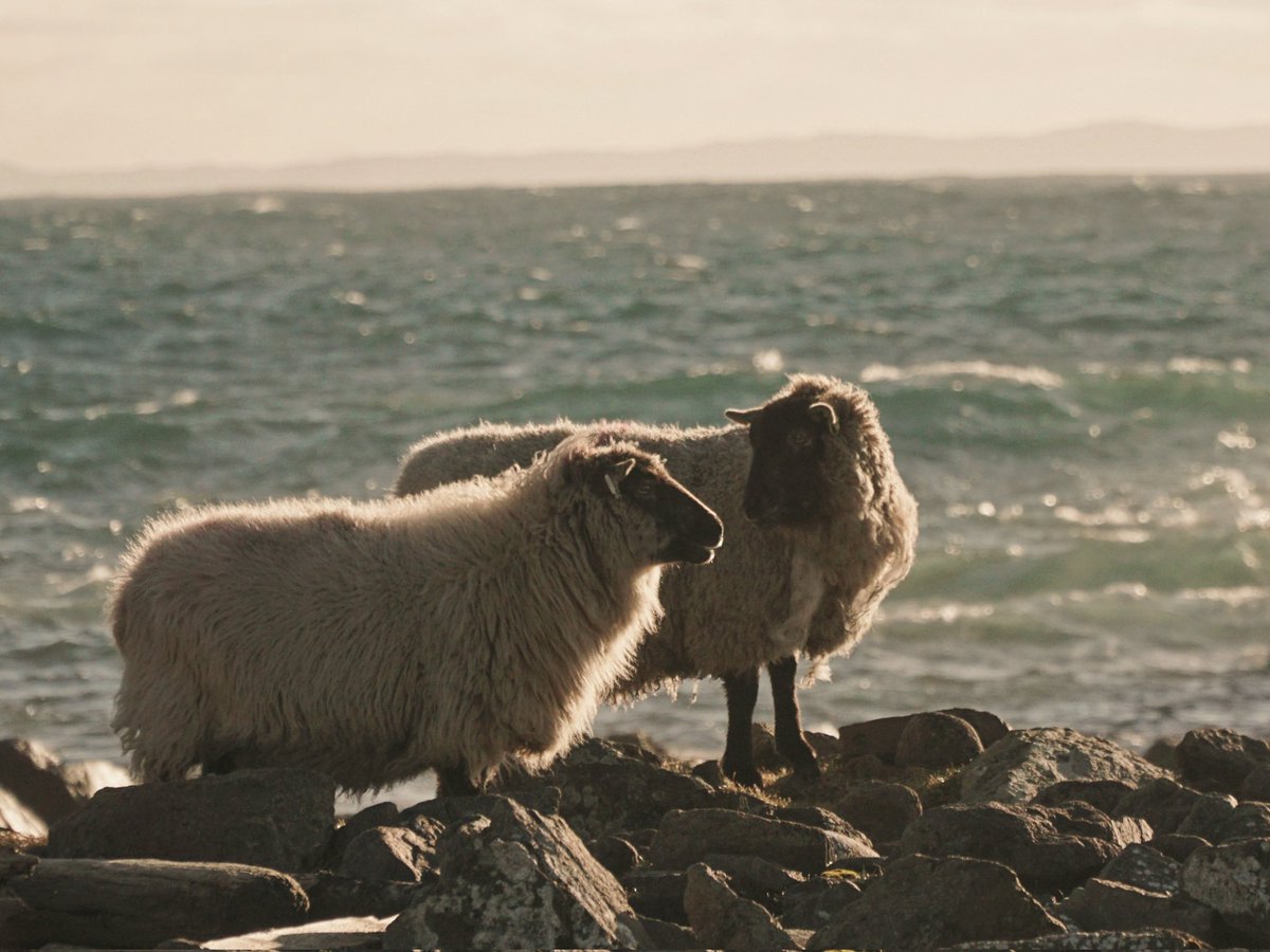 Catherine Munro tweet media