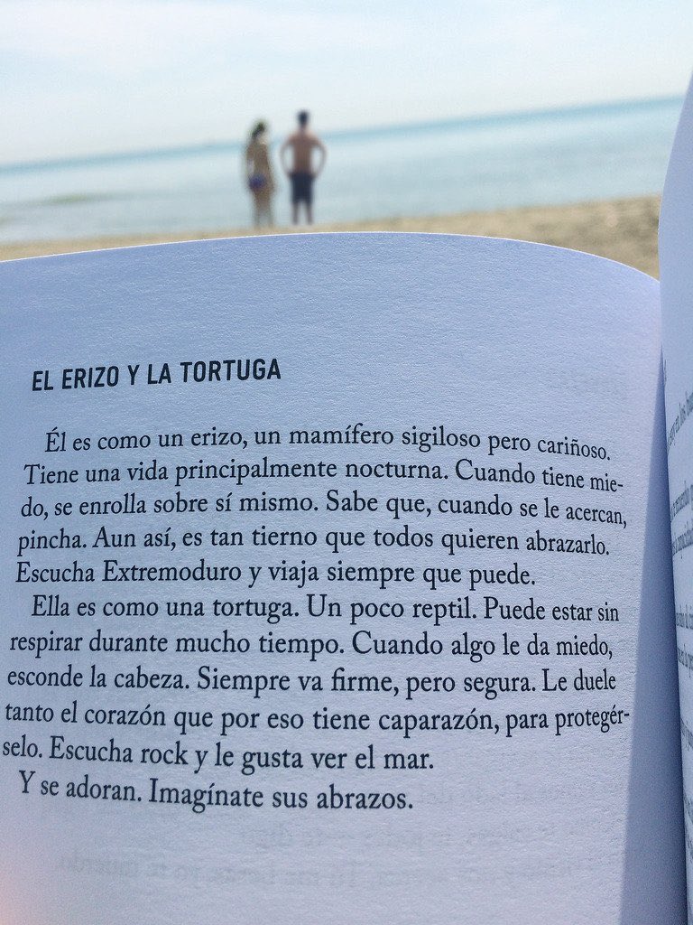 Defreds's tweet photo. El erizo y la tortuga. https://t.co/Ua189pYiUQ