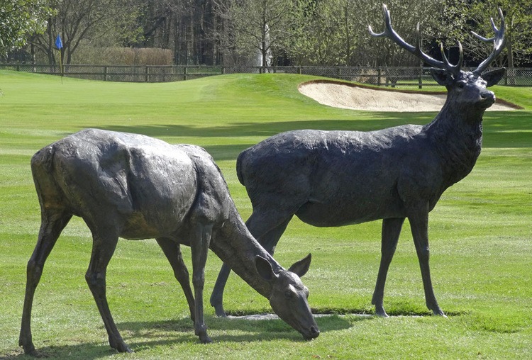 🔴 Highland Deer by Tessa Campbell Fraser FRBS
🔵 Commission

#bronzesculpture #bronze #windrush #contemporaryart #wildlife #sculpture #scultura #claysculpture #figurativesculpture #figurativeart #realism #realismart #classicalart #stag #museum #outdoor #landscaping #countryside