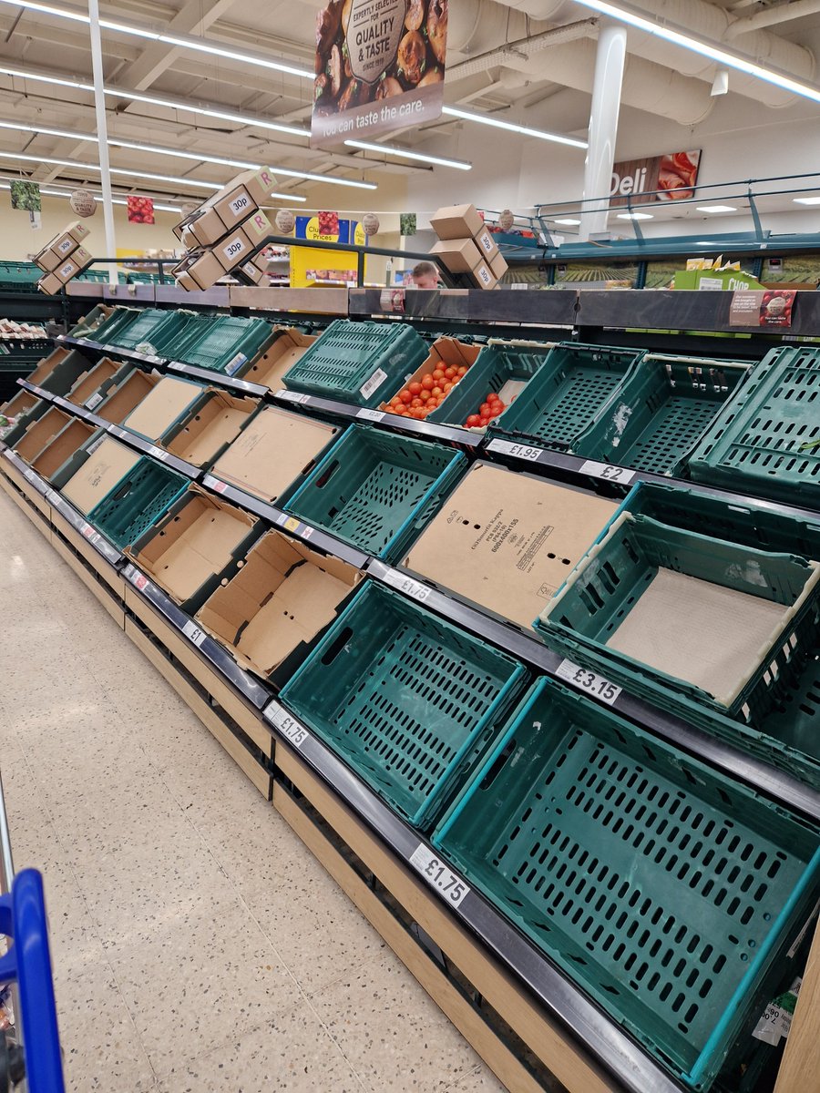 Nessa 💙 tweet media