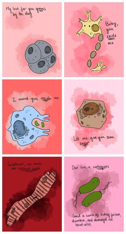 GenscriptE's tweet image. Happy Valentine's Day from GenScript!
Today, we're celebrating love on a molecular level 💕🧬
#ValentinesDay #GenScript #LoveAndScience
Source: Pinterest/Sadia