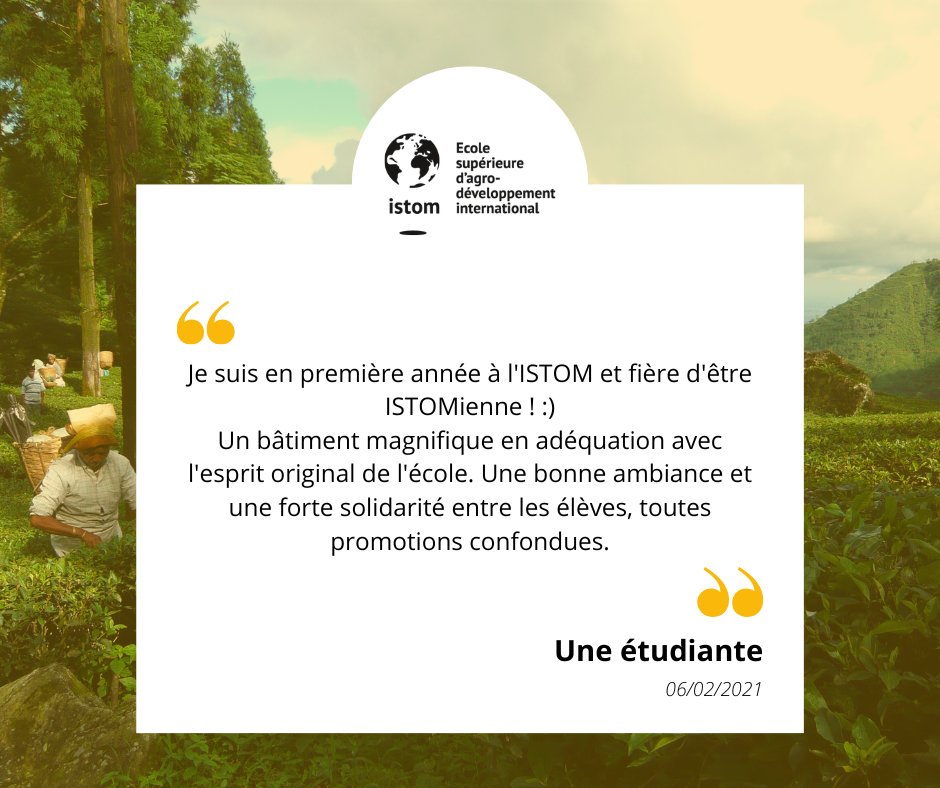 📝 Avis
Parce que le positif est toujours agréable à entendre, nous avons décidé de vous partager les avis qui nous ont touché en plein ❤ !
Vous aimez l'ISTOM ? A votre tour de nous laisser un avis (Google, Facebook, l'Etudiant, Diplomeo...), nous serons ravis de le partager 😉