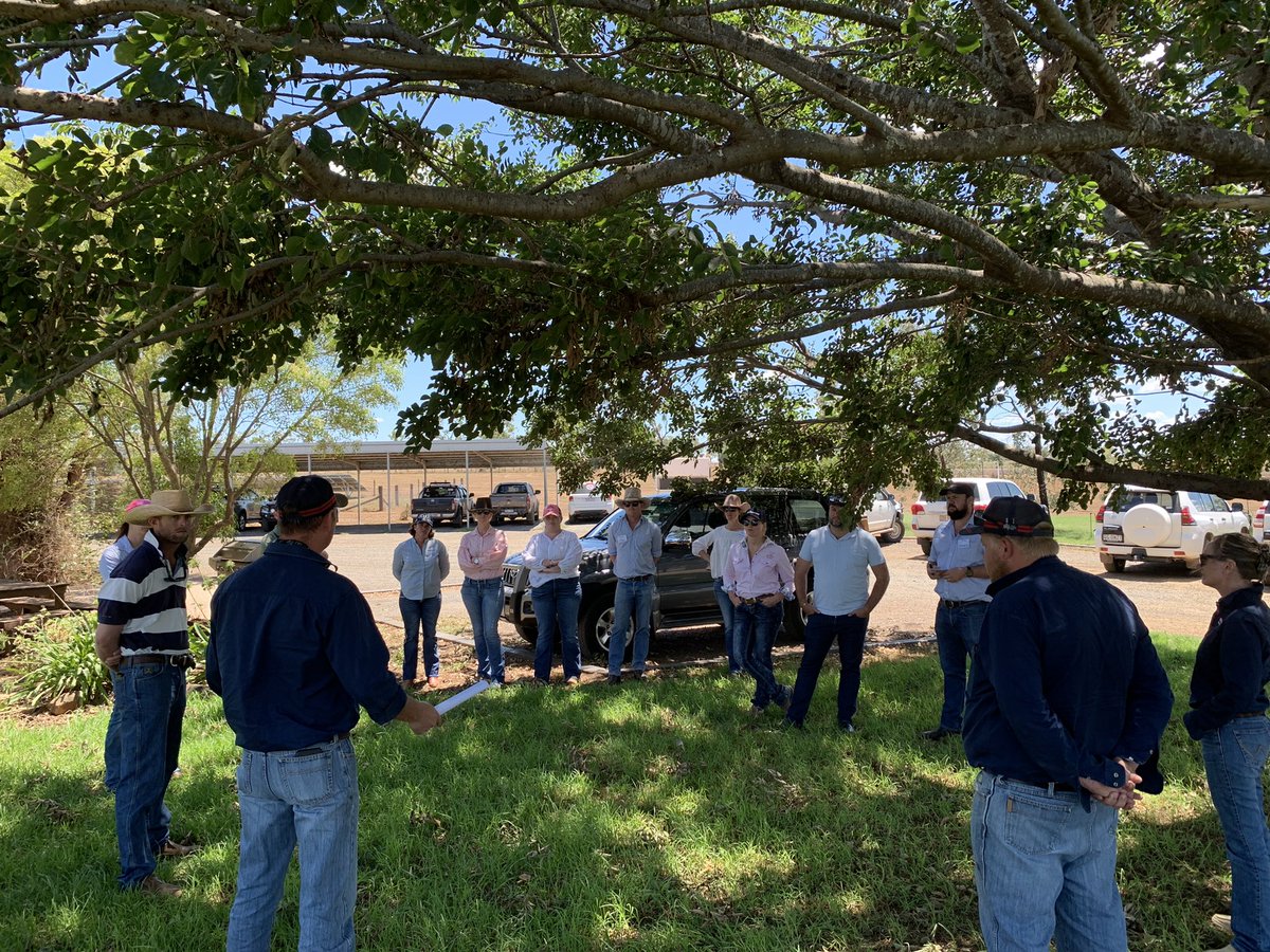 Ben Reeve tweet media