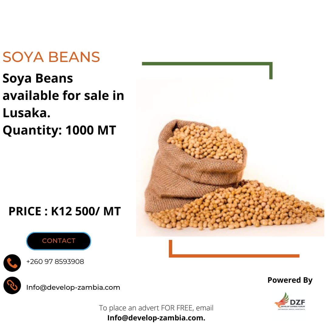 DevelopZForum's tweet photo. SOYA BEANS AVAILABLE FOR SALE

For details, contact – 097 8593908 or
Email - Info@develop-zambia.com 

#advertising #advertisements #dzf #dzfupdates

To place an advert with #DZF for free, email Info@develop-zambia.com https://t.co/mlGiW5eyRl