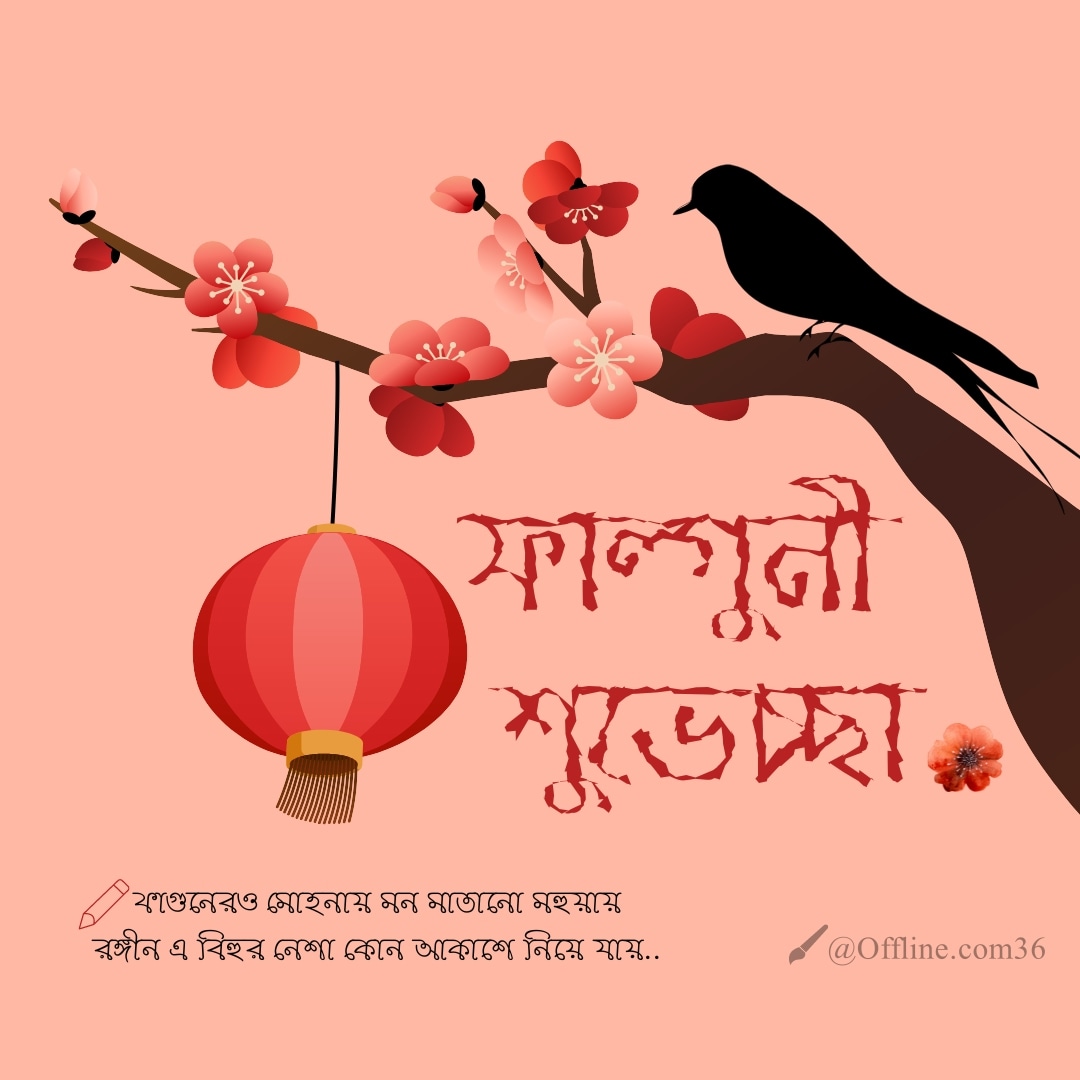 Md Abdur Rashid (@rashisd36) on Twitter photo 