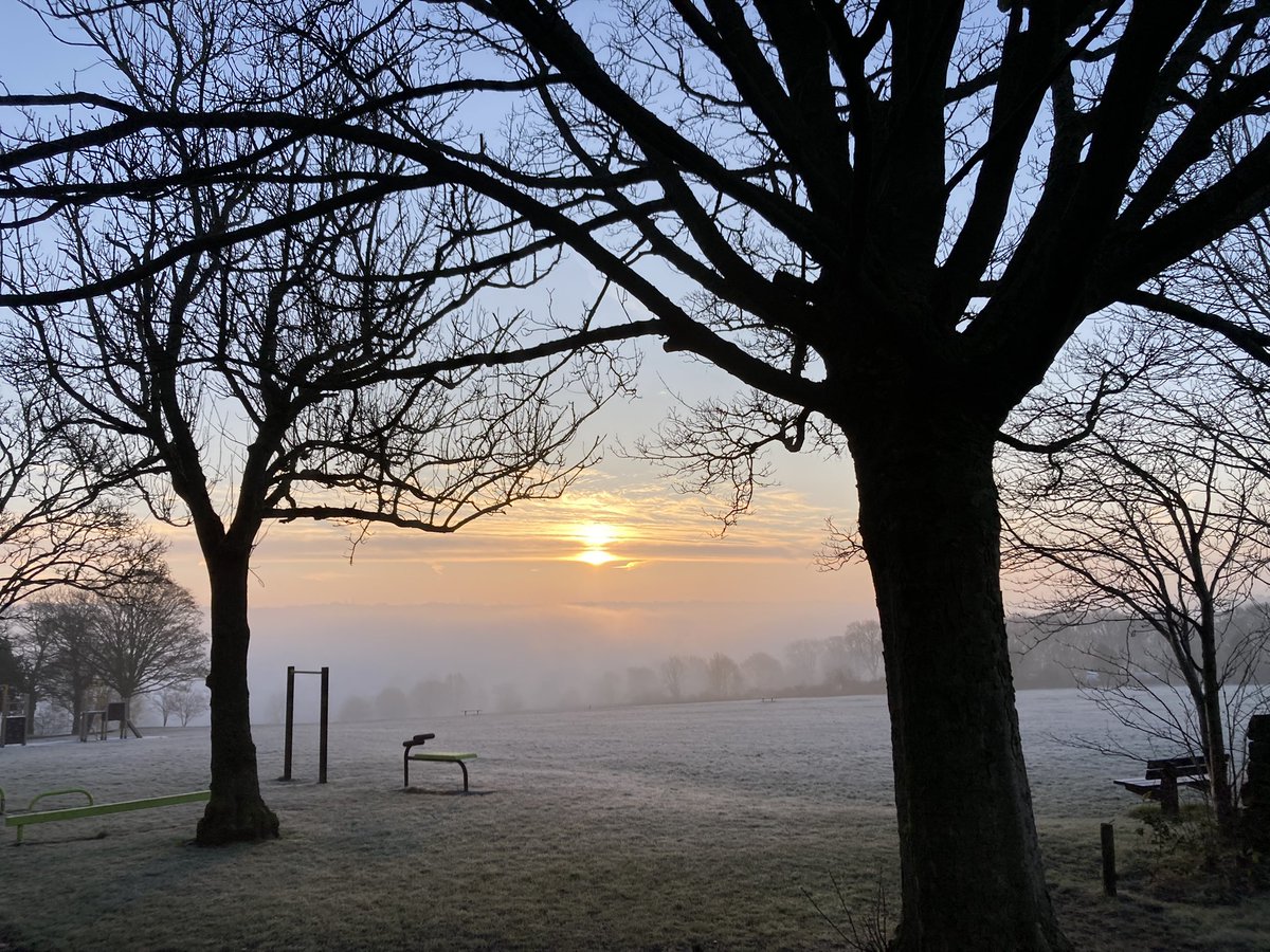 What a beautiful morning in shipley #Bradford #trees #walkshire #shipley