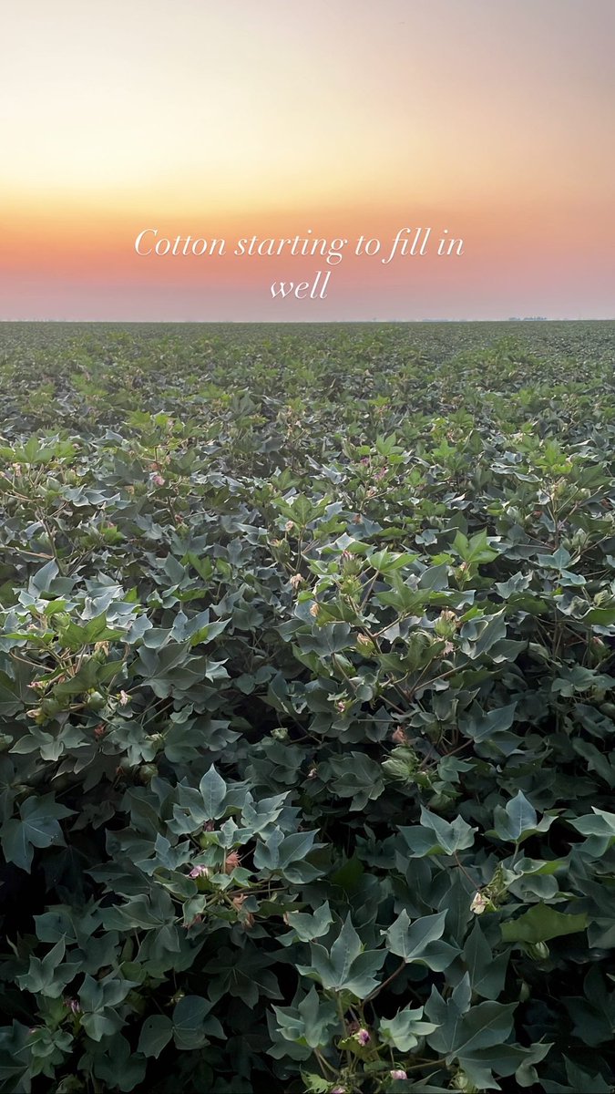 Corey Hart tweet media