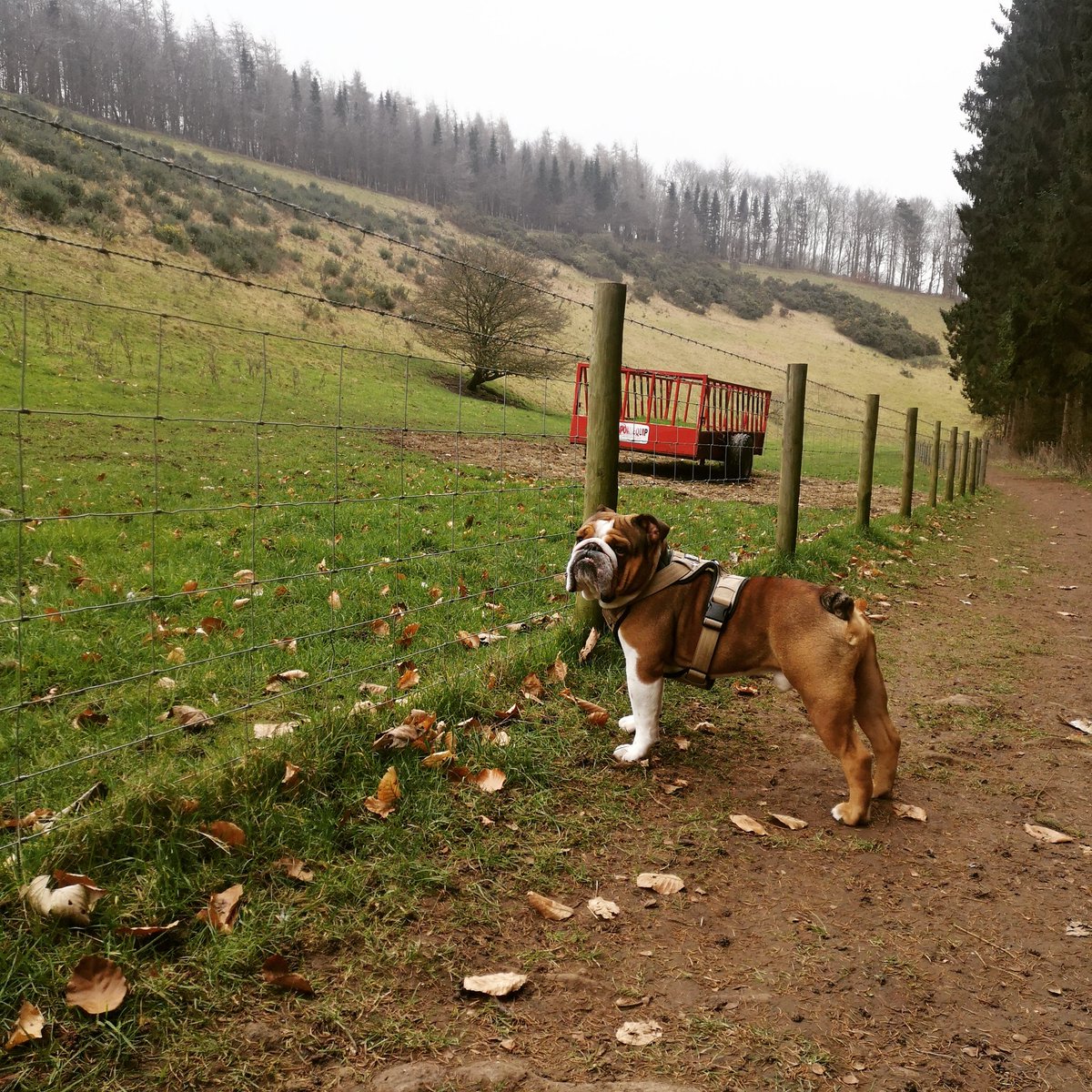 My little angel enjoying mums week off ❤️