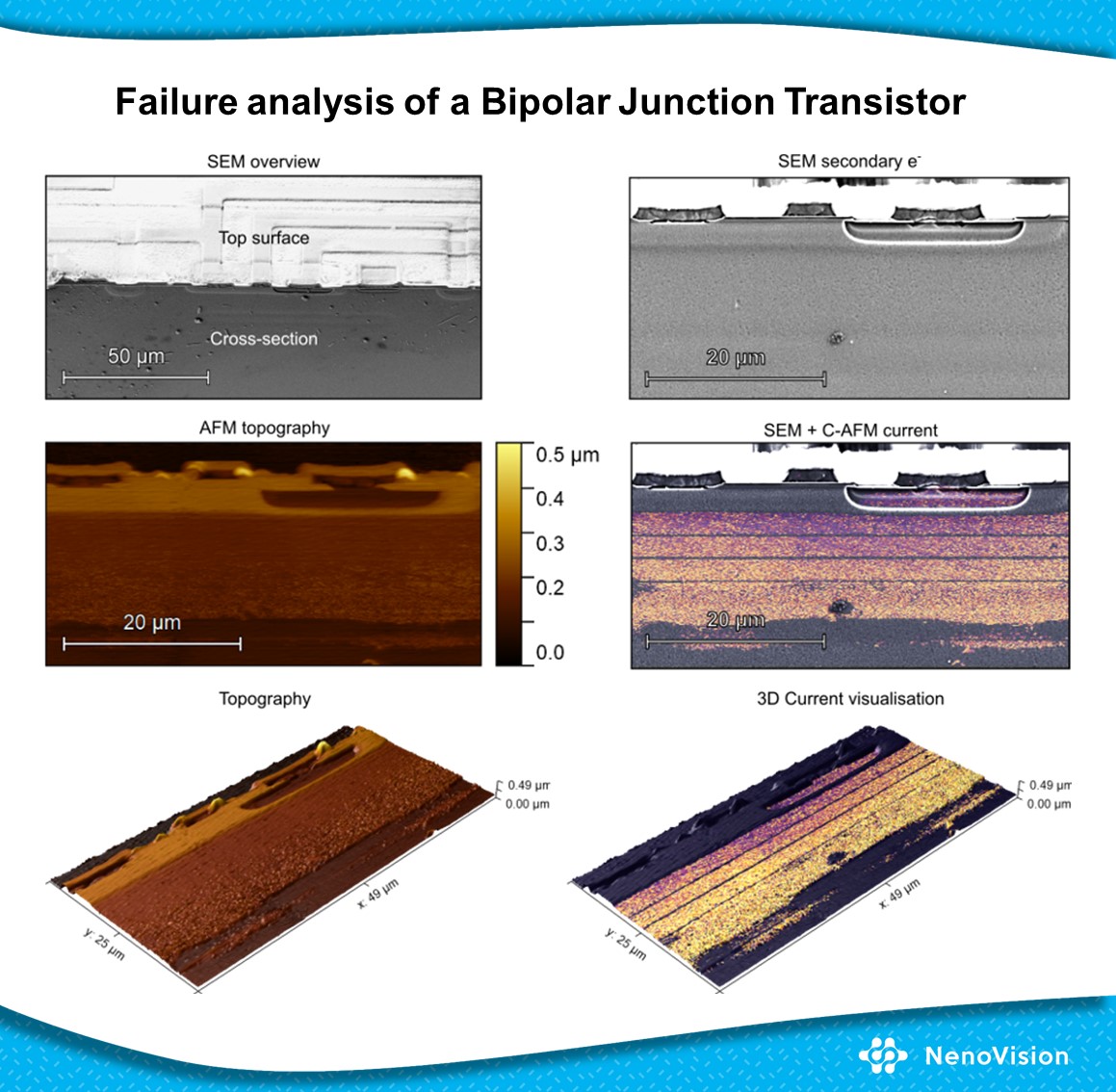 NenoVision tweet media