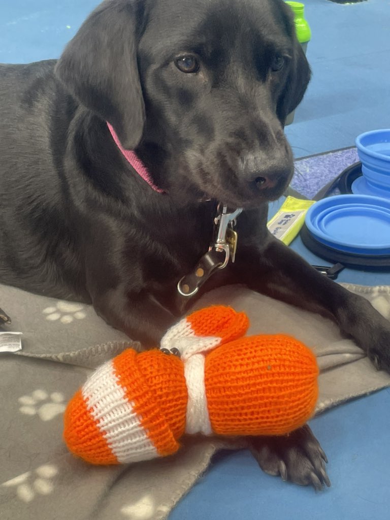 LuSuSports's tweet photo. Wow I’ve been on a road trip the past week and tried loads of adapted activities #tennis #visuallyimpairedtennis #blindtennis #adaptiveclimbing #climbing #biking #adaptivebiking #recumbentbike #archery #golf and met a new friend Pacha the #Guidedog @head_tennis 
#tangoontour https://t.co/EA4jl1LAip