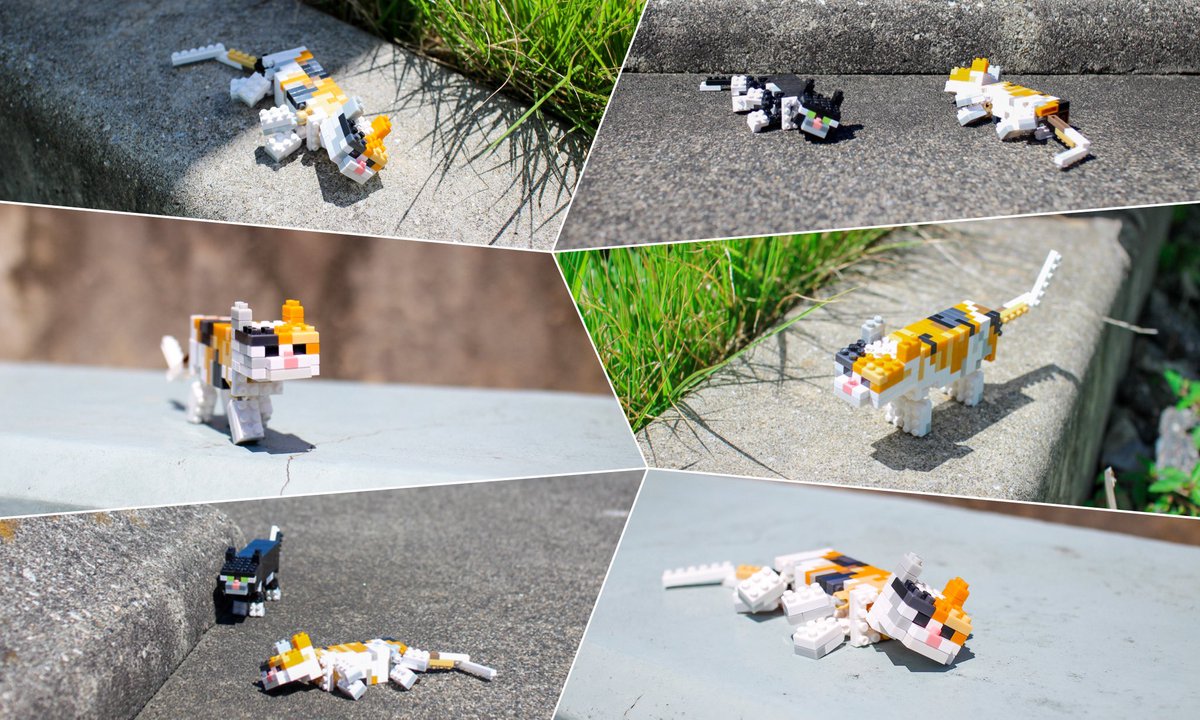 _ottdesign_'s tweet photo. #猫好きの方に見てほしい
#マイクラの猫が好きな方に見てほしい
#Minecraftcat https://t.co/eYfgawK5zy