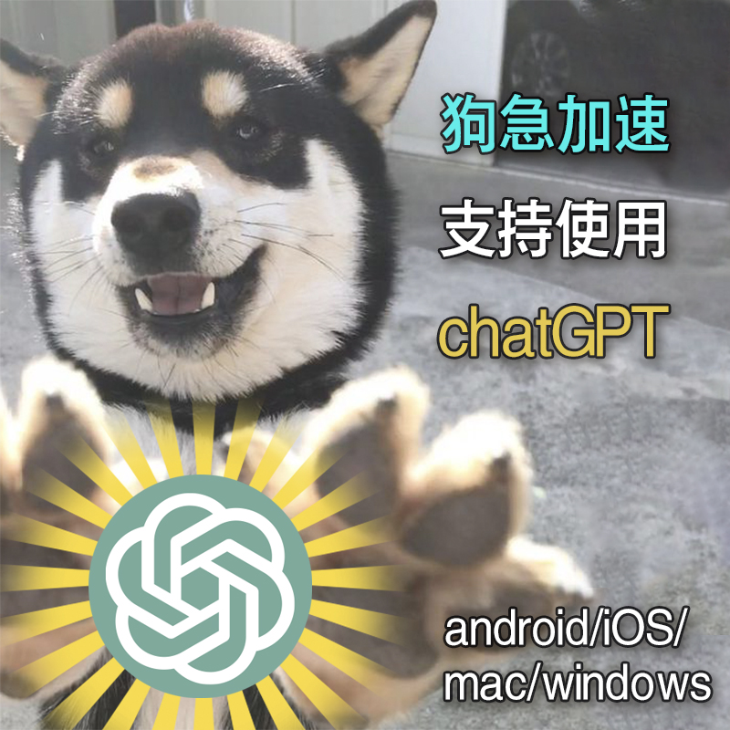 gojvpn's tweet photo. 不限流量不限速的狗急加速
支持chatGPT🤖
手机📱电脑💻都可用
助你走在时代最前端！