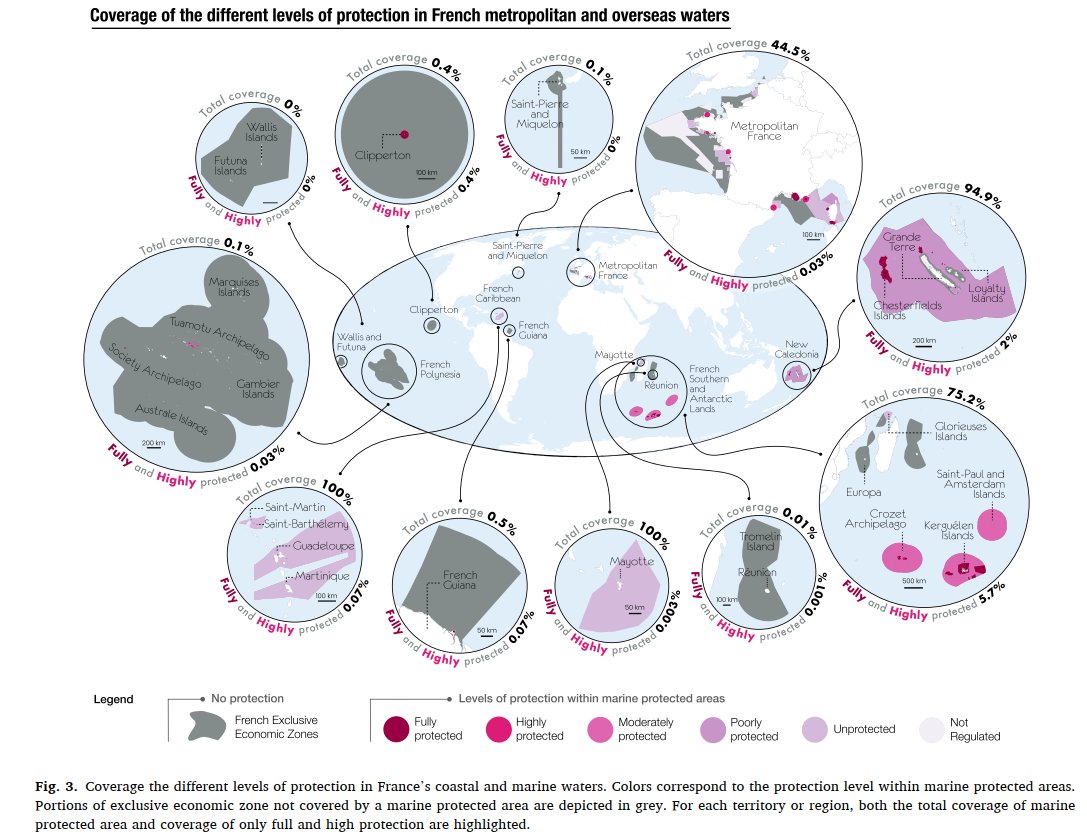 JoachimClaudet's tweet photo. π‘This was also revealed in 2021 in a paper that assessed all #French #MPAs' level of #protection.
π£More than 30% of the second largest #EEZ in the world declared as protected, while only 1.6% is either #FullyProtected or #HighlyProtected.
π° https://t.co/aTIcDjszm8 https://t.co/lFKCZvpWXb