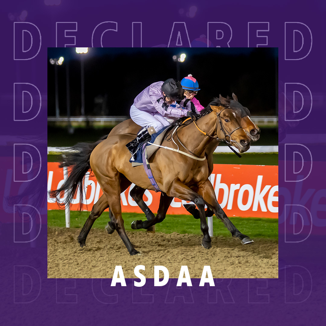 ownersgroupuk's tweet photo. Asdaa heads back to @kemptonparkrace today to run in the 7.30 for trainer @Johnston_Racing  under jockey Jason Hart. Asdaa has already won twice in 2023 🌟 Good luck to all involved 🤞 #OwnersGroup #Asdaa https://t.co/LJzEHBRg9H