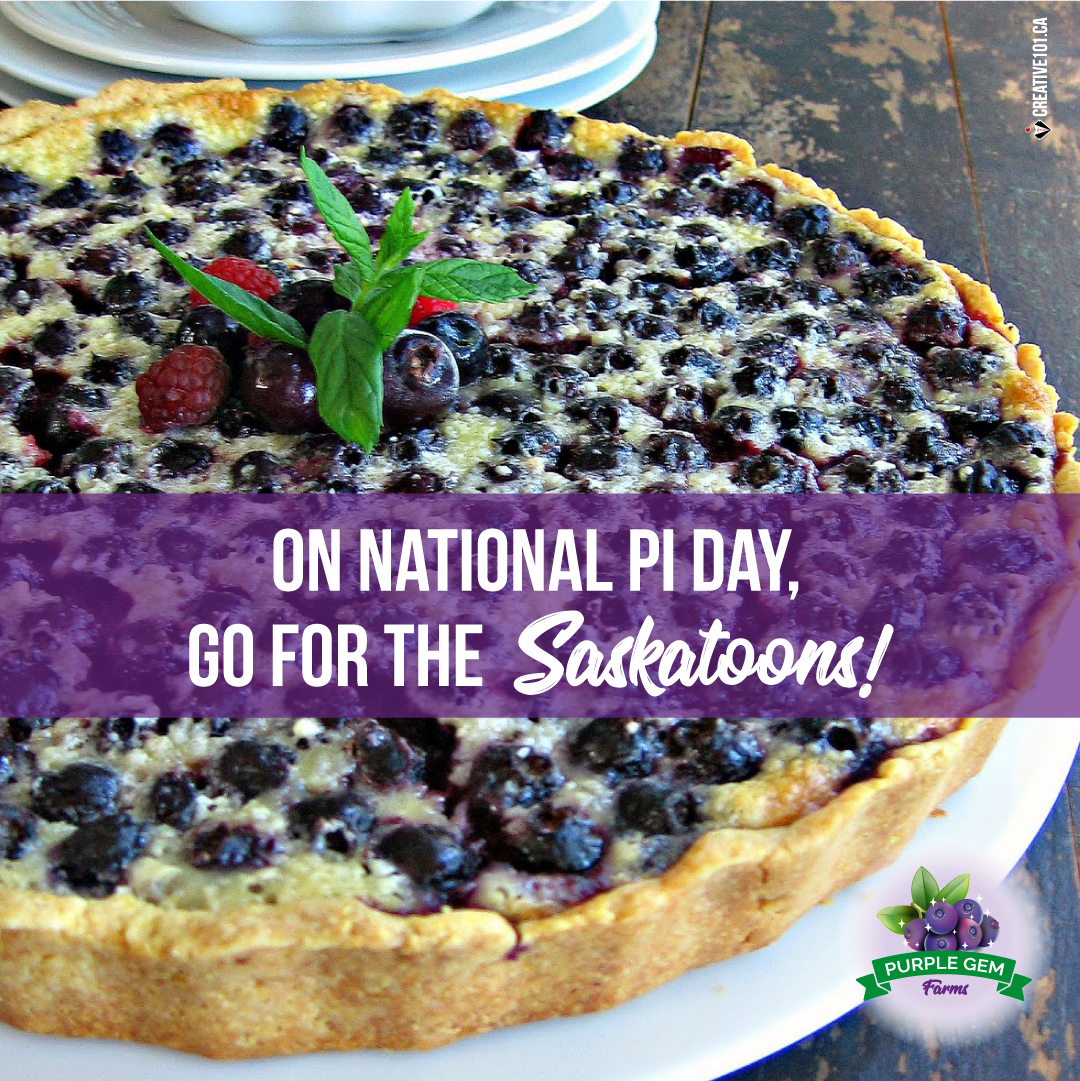 #NationalPiDay A Saskatoon 'Pi' would hit the spot today! 😁💜

What's your favourite pie?

#SaskatoonBerries #BerriesAlberta #LeducBusiness #BerriesForRestaurants #BerriesForBakeries #BerriesRetail #BerryJuice #NaturesLittleGem