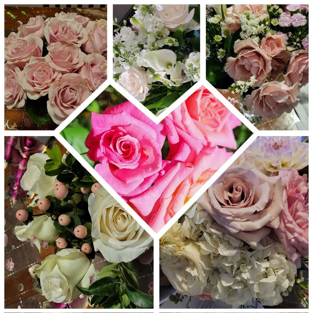 VesnaBaric's tweet photo. Happy Valentines Day #ValentinesDay #14february #ValentinesDay2023 #roses https://t.co/Thk8A81hNV