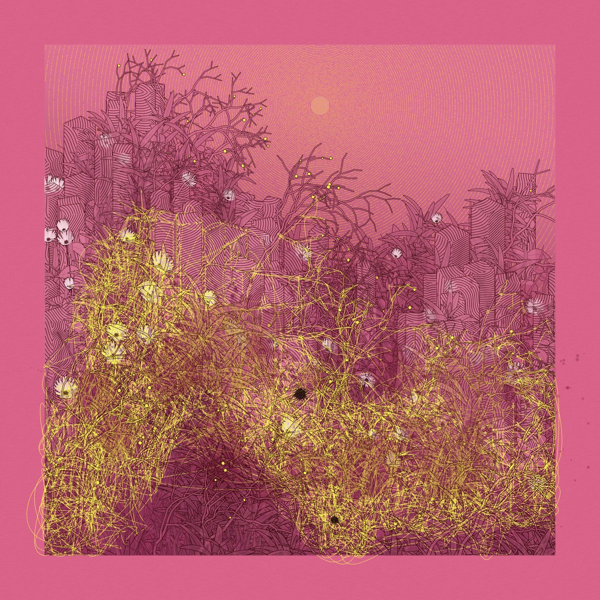 DarekBTW tweet media