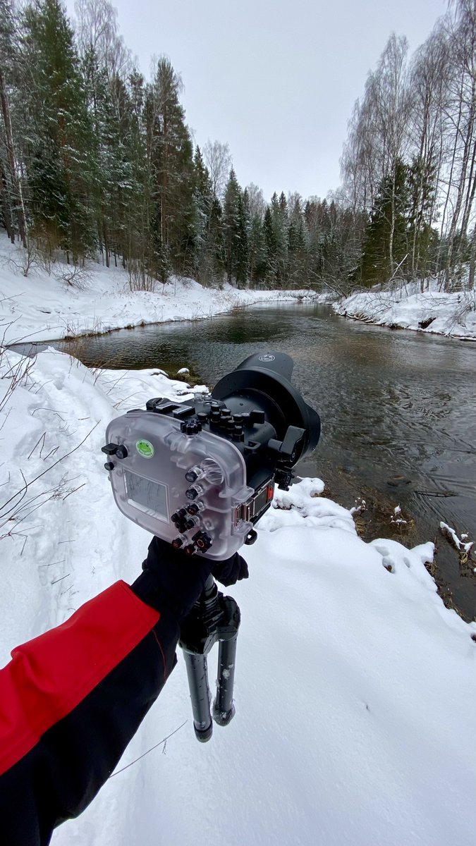 emelyanoof's tweet photo. YEAH! 😍 Shooting underwater in the winter forest. A fantastic experience. I'm thrilled! Relaxing videos will be published on YouTube. Soon! #seafrogs #underwater #seafrogshk #fieldrecording https://t.co/HIhv6x4zre